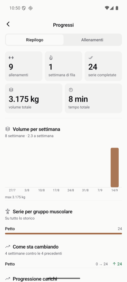 The progress summary: volume, muscle groups, progression.